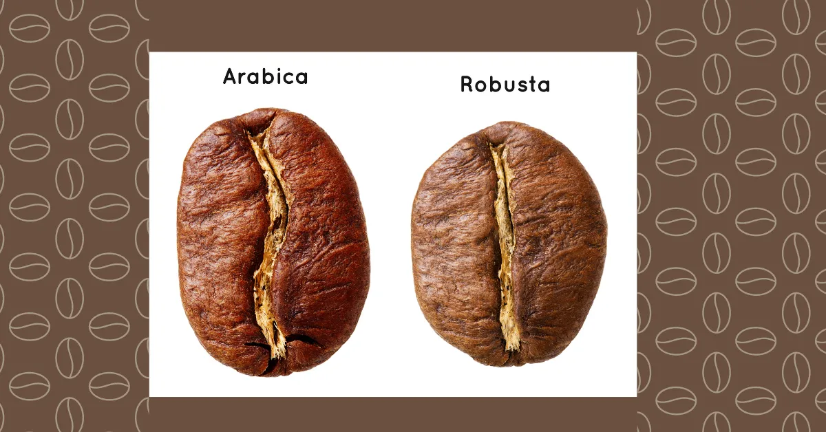 Arabica vs Robusta