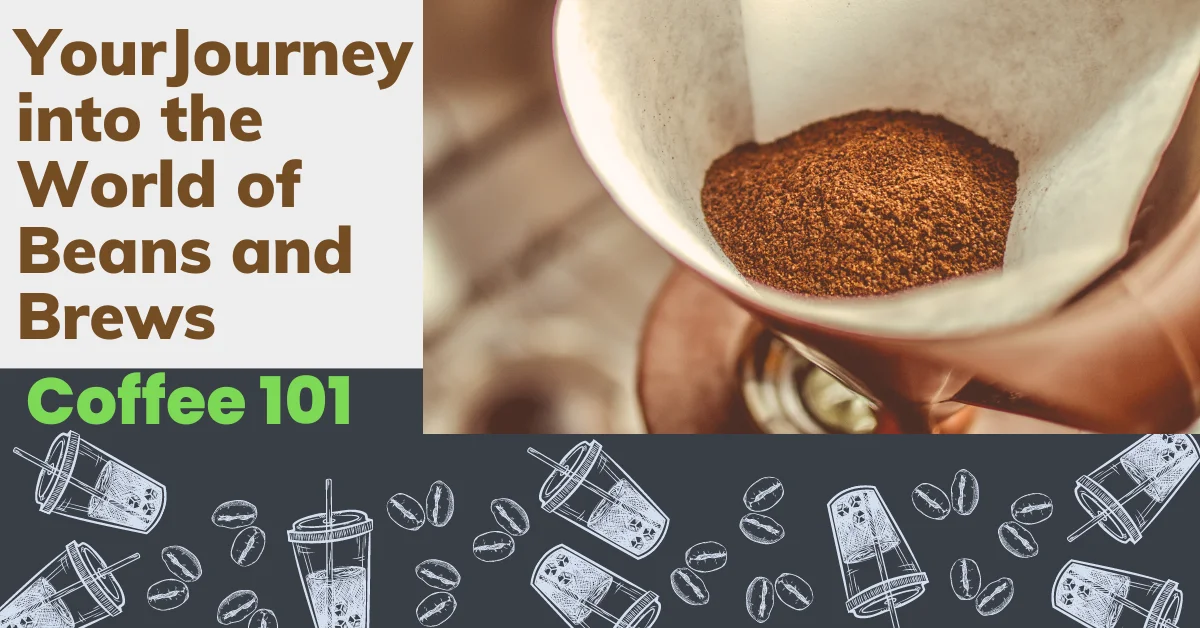 Coffee 101