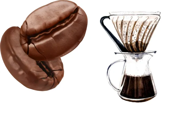 Coffee Beans