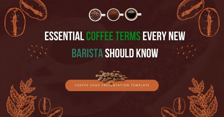 Essential Coffee Terms Every New Barista Should Know